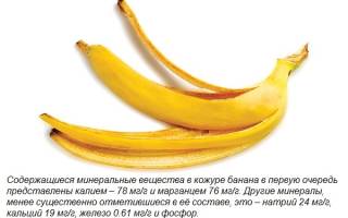 Удобрение из банановой кожуры