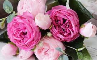 Розовые пионы букет