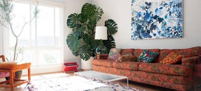 Почему нельзя держать