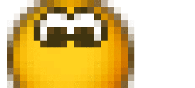 Березка цветок комнатный можно ли держать дома