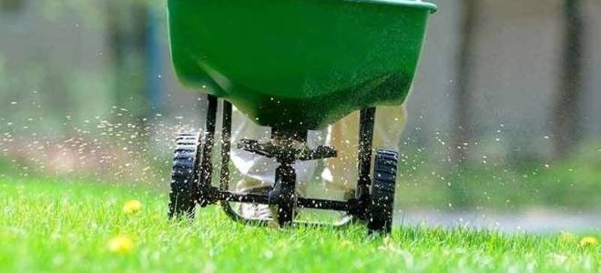 Посев газона своими руками