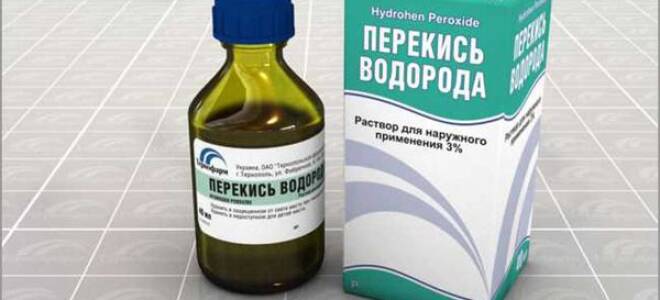 Полив комнатных растений перекисью водорода