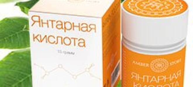 Как поливать янтарной кислотой комнатные растения