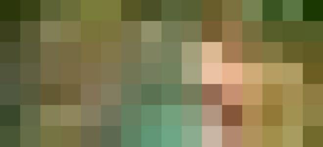 Эпин экстра состав