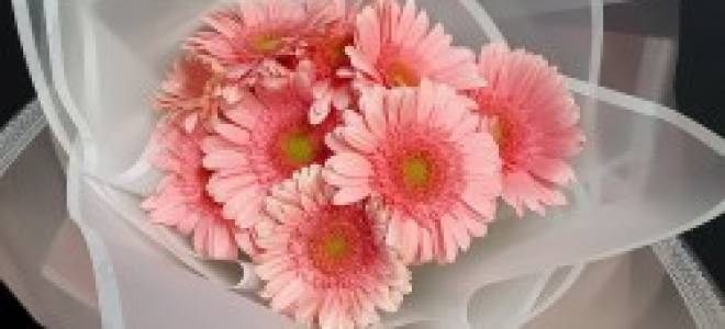 Большой букет гербер