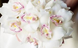 Букет из орхидей и роз