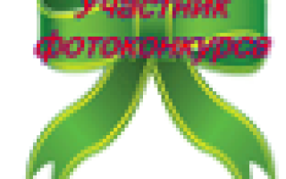 Стартер фиалки что это