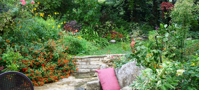 Растения для тенистых мест