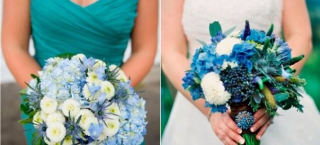 Маленькие голубые цветочки название