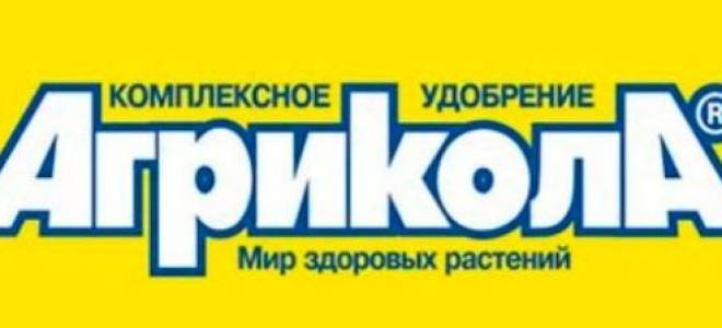 Растение оленьи рожки