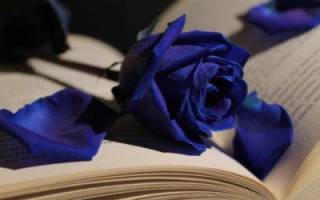 Как сделать синюю розу