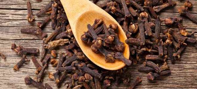 Настойка гвоздики на водке применение